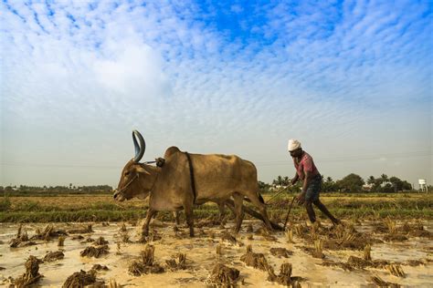 Running Dry Seeking Solutions To South Asias Looming Water Crisis