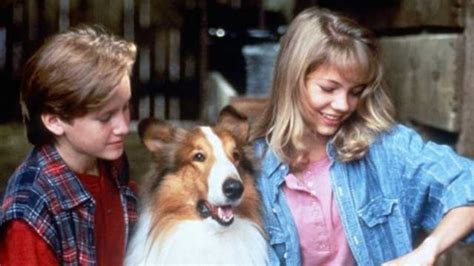 El Regreso De Lassie 1994 El Séptimo Arte Tu Web De Cine