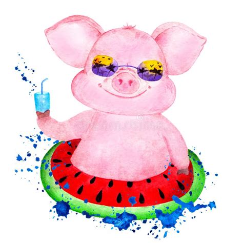 Cute Pig Watercolor Illustrations Drawn By Hand Stock Illustration