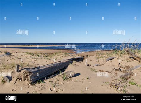 Seaboard White Sea Russia Arkhangelsk Region Stock Photo Alamy