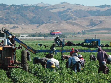 California Leads Fight To Fix National Farm Labor Shortage 2019 05 07