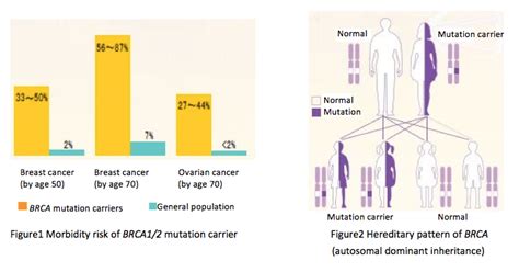 Pin On Brca1 Brca2 Hereditary Breast And Ovarian Cancer