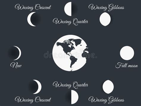 The Phases Of The Moon The Whole Cycle From New Moon To Full Stock