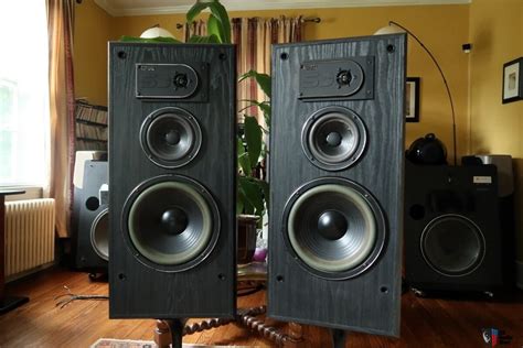 Sound Dynamics Titanium Series 300ti Speakers Audiophile Quality Made