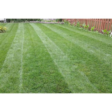 Checkmate 20 Universal Lawn Striping Kit For Walk Behind Mowers