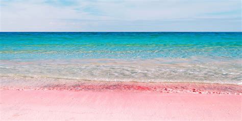 The Science Behind Bermudas Pink Sand Beaches Viva Lifestyle