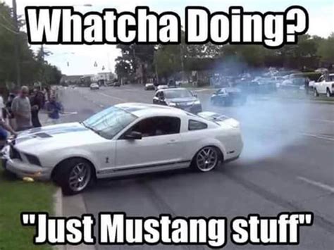 15 Top Mustang Meme Pictures And Funny Images Quotesbae