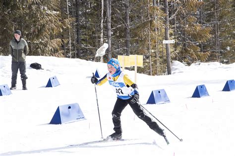 Larch trees are covered in needles and look similar to other species of evergreen, however they lose all of their needles at the start of winter, but not before they turn a vibrant golden colour. Larch Hills Nordic Club wins Teck BC Cup trophy - Sicamous ...
