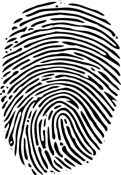 Fingerprint Minutiae of left hand