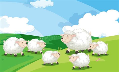 Sheep Field Illustration Stock Illustrations 4304 Sheep Field