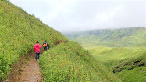 Dzukou Valley Nagaland What To Know Before Trip To Dzukou Valley In