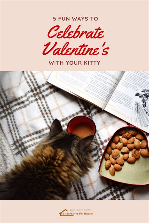 5 Fun Ways To Celebrate Valentines With Your Kitty Cat Treat Recipes