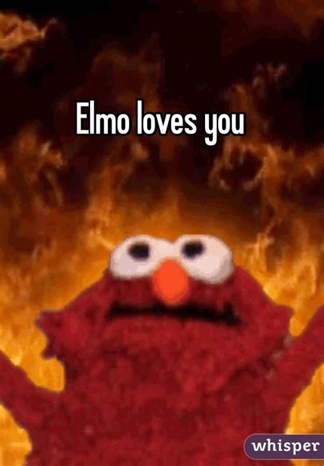 Elmo Meme Wallpaper Elmo Memedroid Hell Kermit Frogster Goawall