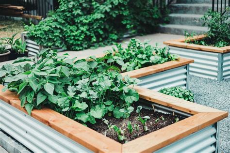 4 Tips For An Eco Friendly Garden Design Uk
