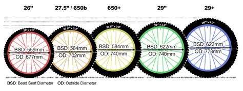 Mtb Wheel Sizes Guide 650 And 29 Explained Mountain Biking Guides
