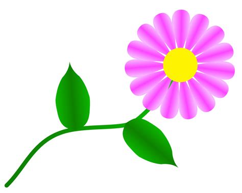 Free Daisy Clipart Public Domain Flower Clip Art Images And Clipartix