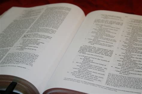 Best Study Bibles For Preachers And Pastors