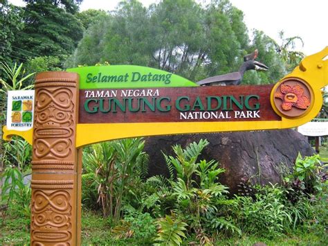 Gunung Gading National Park Day Tour Klook