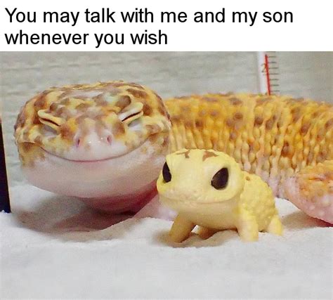 You May Talk With Me And My Son Whenever You Wish Dont Talk To Me Or