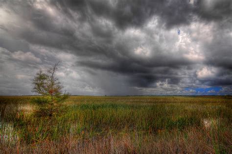 Everglades Storm Photograph By Rudy Umans Fine Art America