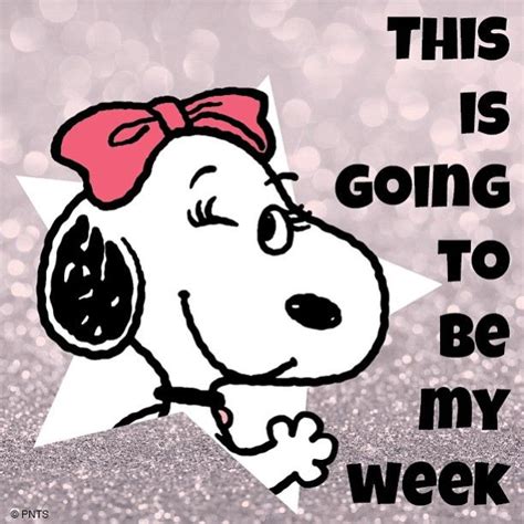 195 Best Images About Snoopypeanuts Days Of Week On Pinterest The