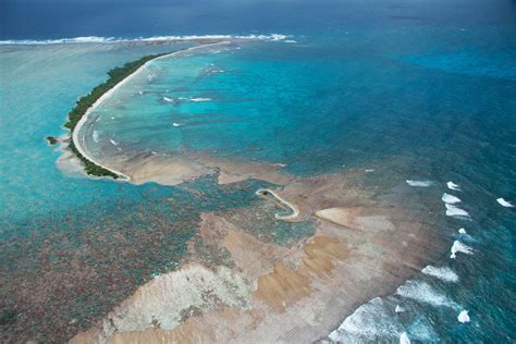 Island Conservation From Land To Sea And Back Again Piecing Together