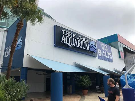 Florida Aquarium Tampa Visitor Information And Reviews