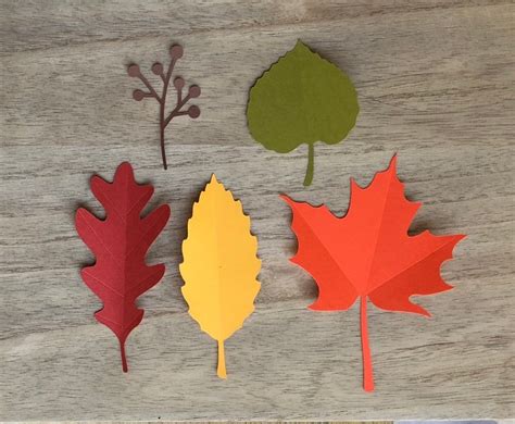 Paper Leaf Cutouts 30 Or 60 5 Different Leaves And Colors Etsy