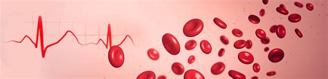 How To Increase Red Blood Cells Quickly With Foods And Lifestyle