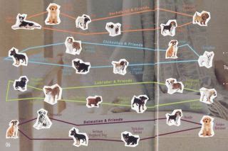 How to unlock all nintendog breeds. Nintendogs: Dalmatian and Friends | GamesRadar+