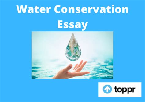 Water Conservation Essay For Babes Words Essay