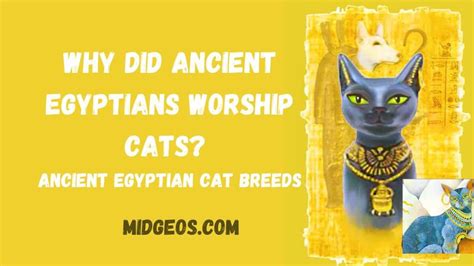 Why Did Ancient Egyptians Worship Cats Ancient Egyptian Cat Breeds