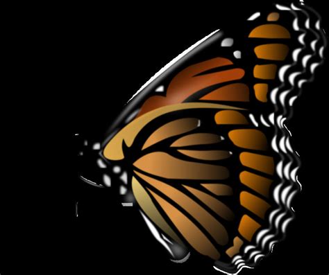 Monarch Butterfly Clipart Biological Science Picture