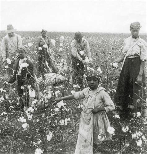 Abolishing Child Labor Took The Specter Of White Slavery And The Job
