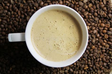 Coffee Cup On Coffee Bean Background Stock Photo Image Of Aroma