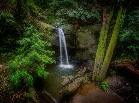 Sempervirens Falls In Santa Cruz How To Get The Most Out Of Santa