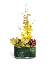 Our artistry, experience, enthusiasm and commitment to the customer provide unmatched value and quality. Lloyd's Florist :: Flower Shop Louisville, KY :: Flower ...