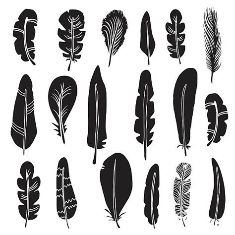 Best Turkey Feathers Illustrations Royalty Free Vector Graphics And Clip Art Istock