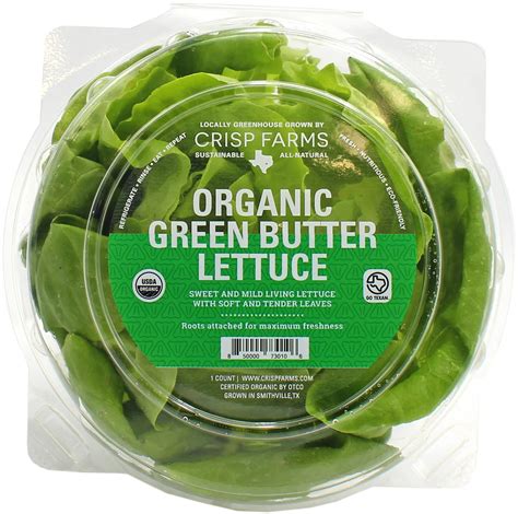 Fresh Organic Green Butter Lettuce Shop Lettuce And Leafy Greens At H E B