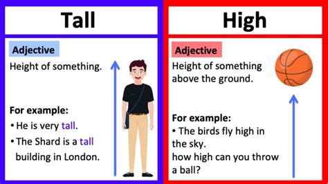 Tall Vs High What S The Difference Learn With Examples Youtube