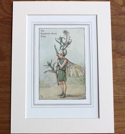 Genuine 1920s Mounted Plate Shepherds Purse Fairy By Etsy Cicely