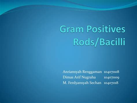 Ppt Gram Positives Rodsbacilli Powerpoint Presentation Free