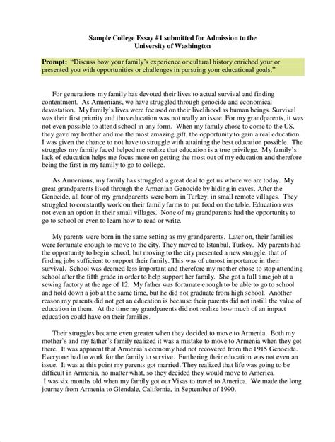 College Essay Examples In Pdf Examples