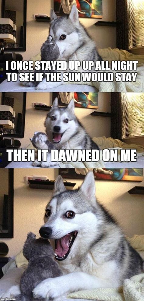 Bad Pun Dog Meme Imgflip