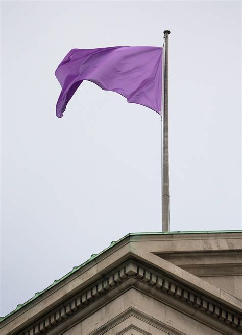 Rare Solid Purple Flag It Signifies Dangerous Marine Life Is