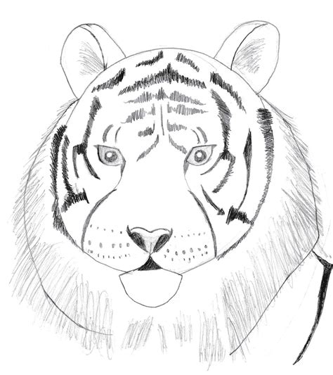 Draw two circles as guides for the cheetah's body. Draw 25 Wild Animals (Even If You Don't Know How to Draw!) - Art Starts