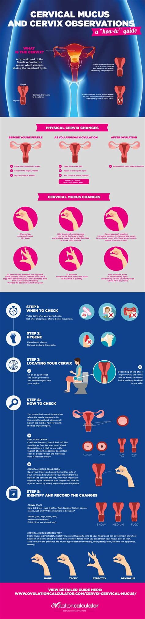 This will help decrease your pushing timeand reduce your chances of swelling. Cervical mucus and Infographic on Pinterest