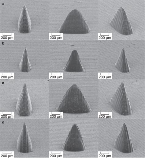 Sem Images Of Eshell 200 Microneedle Array Structures Which Were