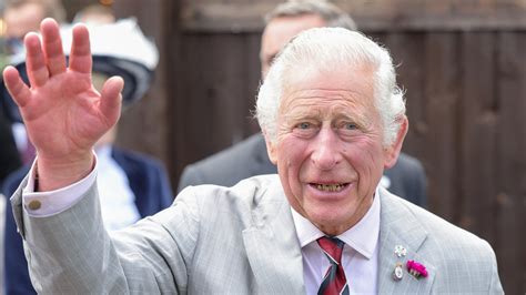 King Charles Hands Prince Charles Sparks Concern After Fans Spot