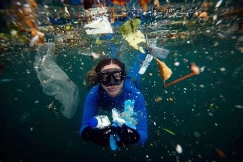 Plastic Plastic Everywhere — What Are We Doing To Solve A Human Created